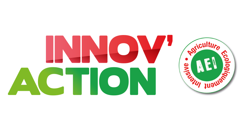 logo Innov'Action